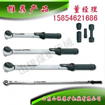 點(diǎn)擊查看詳細(xì)信息<br>標(biāo)題：顯示扭力扳手 閱讀次數(shù)：2010