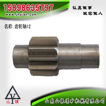 點擊查看詳細信息<br>標題：齒輪軸12 江陰系列配件 閱讀次數(shù)：2330