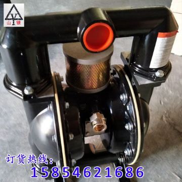 點(diǎn)擊查看詳細(xì)信息<br>標(biāo)題：氣動(dòng)隔膜泵制造銷售售后氣動(dòng)隔膜泵一條龍服務(wù) 閱讀次數(shù)：1783