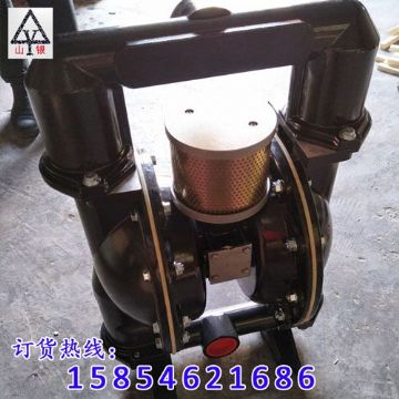 點(diǎn)擊查看詳細(xì)信息<br>標(biāo)題：氣動(dòng)隔膜泵 閱讀次數(shù)：2035