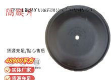 點(diǎn)擊查看詳細(xì)信息<br>標(biāo)題：氣動(dòng)隔膜泵配件-隔膜片 閱讀次數(shù)：381