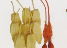 點(diǎn)擊查看詳細(xì)信息<br>標(biāo)題：取氣樣球膽 閱讀次數(shù)：313